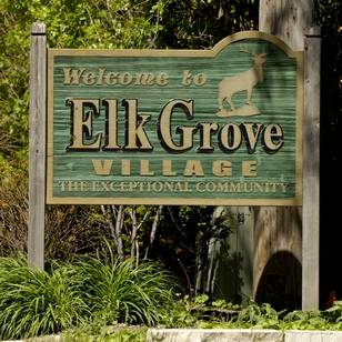 Elk Grove Village Consulting