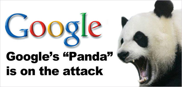 Google Panda SEO Consulting