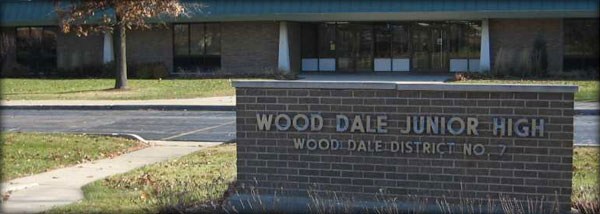 wood dale district SEO consulting